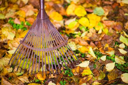 Seasonal cleanup