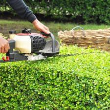 Hedge shrub trimming removal