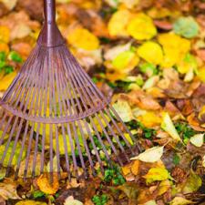 Seasonal cleanup