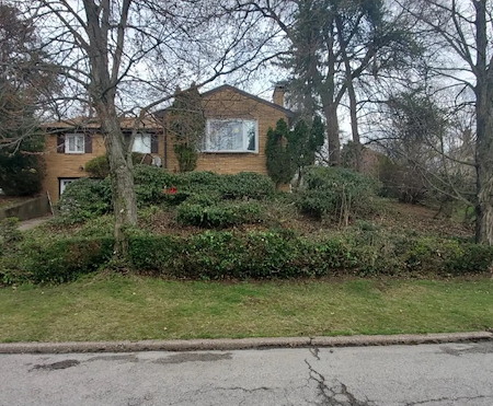 Pittsburgh curb appeal why professional shrub trimming and mulching are essential for south hills homes