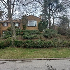 Pittsburgh Curb Appeal: Why Professional Shrub Trimming and Mulching Are Essential for South Hills Homes