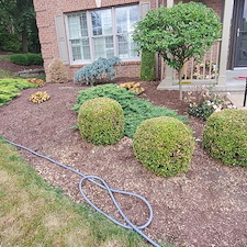 Awesome-mulch-instillation-and-bed-maintenance-in-Upper-St-Clair-Pa 12