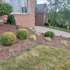 Awesome-mulch-instillation-and-bed-maintenance-in-Upper-St-Clair-Pa 11