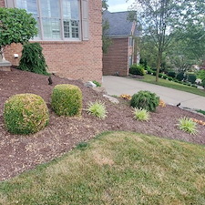 Awesome-mulch-instillation-and-bed-maintenance-in-Upper-St-Clair-Pa 11