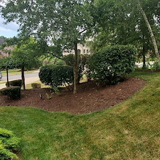 Awesome-mulch-instillation-and-bed-maintenance-in-Upper-St-Clair-Pa 10