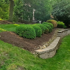 Awesome-mulch-instillation-and-bed-maintenance-in-Upper-St-Clair-Pa 2