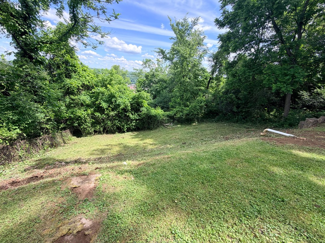 Backyard clean up and overgrowth removal in North Versailles, Pa