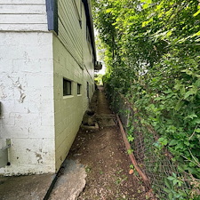 Backyard-clean-up-and-overgrowth-removal-in-North-Versailles-Pa 0