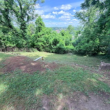 Backyard-clean-up-and-overgrowth-removal-in-North-Versailles-Pa 1