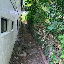 Backyard-clean-up-and-overgrowth-removal-in-North-Versailles-Pa 3