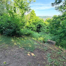 Backyard-clean-up-and-overgrowth-removal-in-North-Versailles-Pa 4