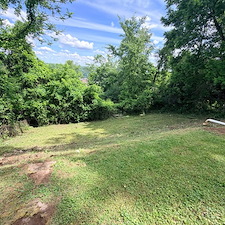 Backyard clean up and overgrowth removal in North Versailles, Pa