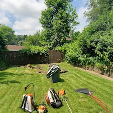 Backyard-overgrowth-clean-up-in-Braddock-Pa 2