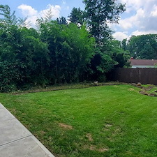 Backyard-overgrowth-clean-up-in-Braddock-Pa 4