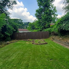 Backyard overgrowth clean up in Braddock, Pa