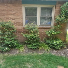 Complete-garden-bed-renovation-and-seasonal-mulching-in-Pittsburgh-Pa 8