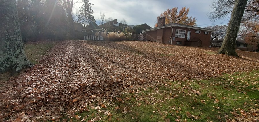 crisp leaf clean up in Bethel Park, Pa