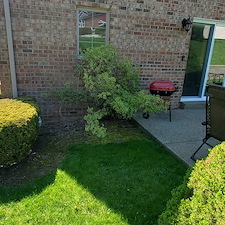 Fresh-mulch-and-pruning-performed-in-West-Mifflin-Pa 0