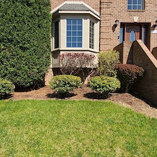 Fresh-mulch-and-pruning-performed-in-West-Mifflin-Pa 2