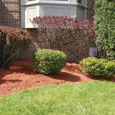 Fresh-mulch-and-pruning-performed-in-West-Mifflin-Pa 4