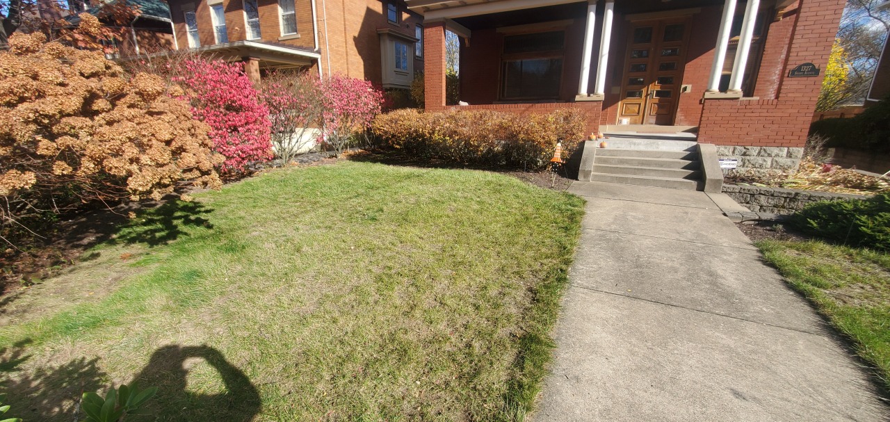 Full fall clean up and shrub pruning in Pittsburgh, Pa