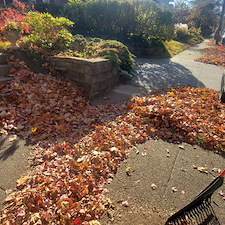 Full-fall-clean-up-and-shrub-pruning-in-Pittsburgh-Pa 4