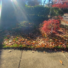 Full-fall-clean-up-and-shrub-pruning-in-Pittsburgh-Pa 3