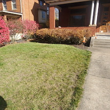 Full fall clean up and shrub pruning in Pittsburgh, Pa