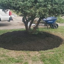 Full yard renovation and stone border install in Munhall, Pa