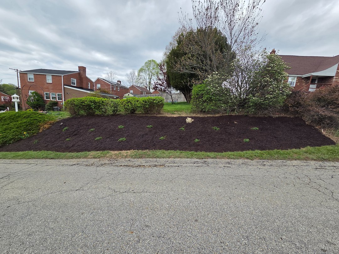 Landscape design and refresh in Pittsburgh, Pa