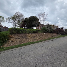 Landscape-design-and-refresh-in-Pittsburgh-Pa 1