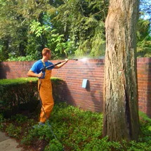 Limestone-pressure-washing-cleaning-and-sealing-in-Pittsburgh-Pa 2