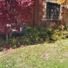 Quality-seasonal-clean-up-in-Munhall-Pa 2