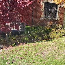 Quality-seasonal-clean-up-in-Munhall-Pa 2