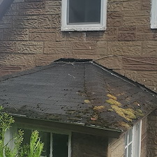 Roof-cleaning-with-moss-removal-and-concrete-cleaning-in-Munhall-Pa 0