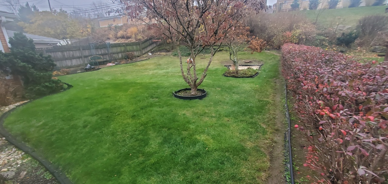 Signature fall clean up and leaf removal in West Mifflin, Pa
