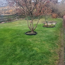 Signature fall clean up and leaf removal in West Mifflin, Pa