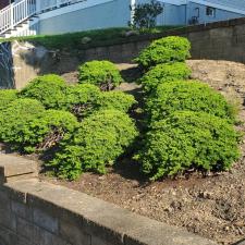 Transformative-Hillside-landscaping-in-Pittsburgh-Pa 1