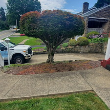 Tree pruning and shaping in Munhall, Pa