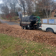 Two-acre-monster-leaf-clean-up-in-Bethel-Park-Pa 0