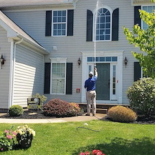 Mold vs. Algae: How to Identify and Remove Green Growth on Your Home